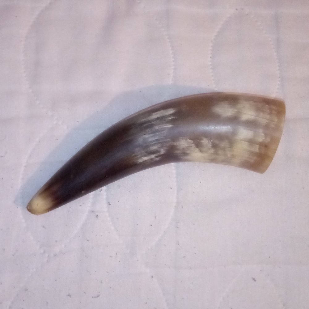 Vintage Animal Horn